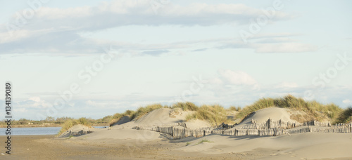 Beautiful Mediterranean sand dunes near Saints-Maries-de-la-mer  France