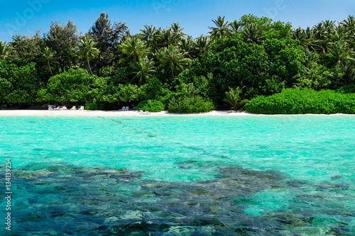 Beautiful nature landscape of tropical island at daytime  Maldives