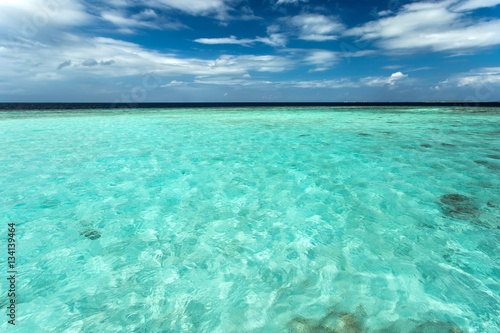 Transparent azure water with coral reef, nature landscape