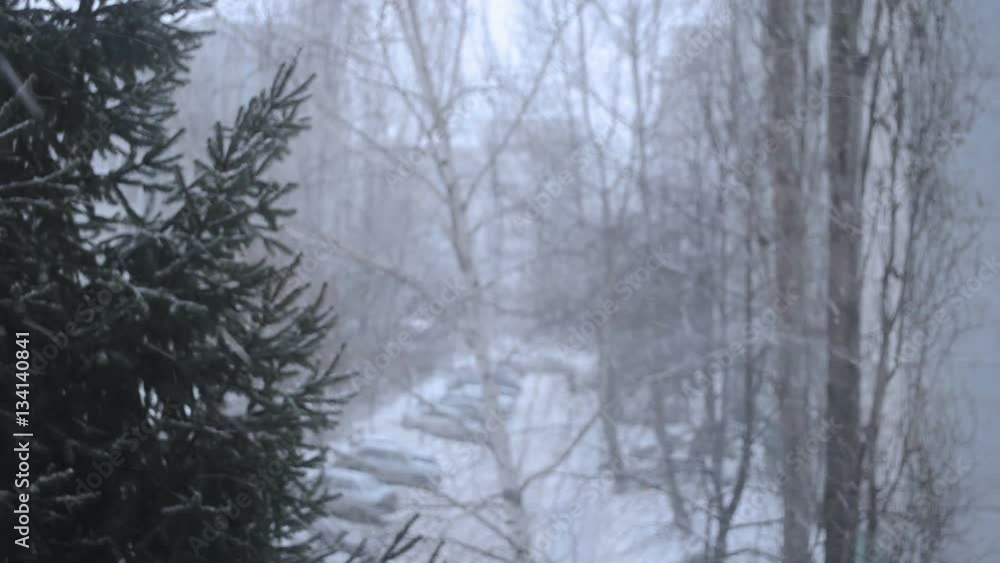 View from the window. The snow outside the window. View from the window. The snow outside the window.