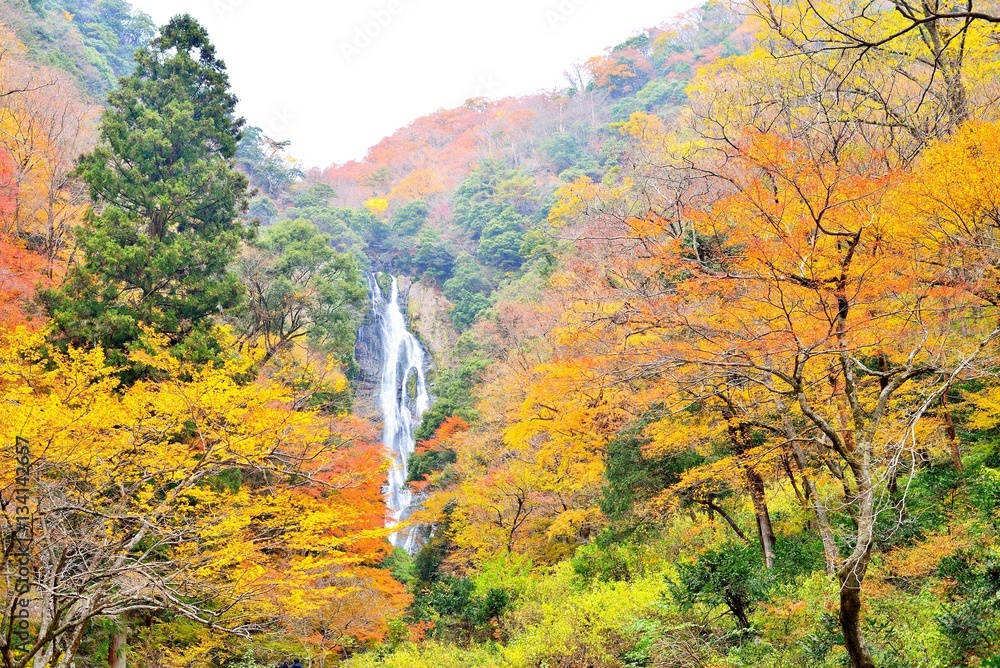 Fototapeta premium Kanba waterfall and autumn colors in Okayama