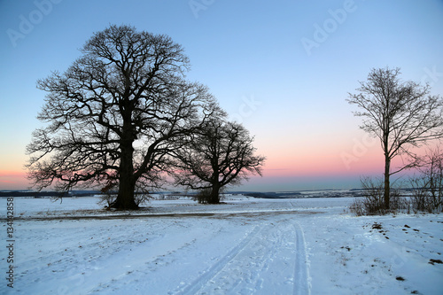 Winter landscape with fields and meadows  / Sunset in the winter © leomalsam