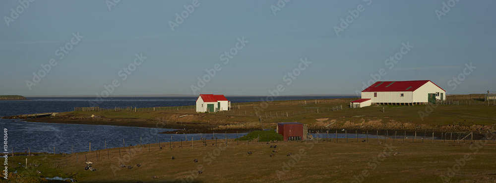 Fototapeta premium Farm buildings at the settlement on the coast of Bleaker Island in the Falkland Islands