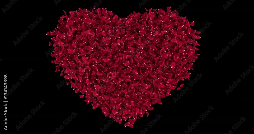 Romantic Red Rose Sakura Flower Petals In Heart Shape Alpha Matte For St. Valentine's Day, Mother's Day, wedding anniversary greeting cards, wedding invitation or birthday e-card Loop 4k Romantic Red Rose Sakura Flower Petals In Heart Shape Alpha Matte For St. Valentine's Day, Mother's Day, wedding anniversary greeting cards, wedding invitation or birthday e-card Loop 4k