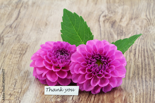 Thank you card with two pink dahlia flowers on wooden surface
