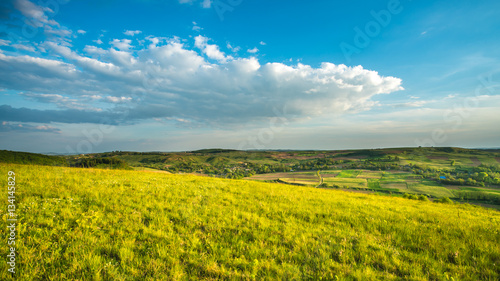 The picturesque field on the background of cloud. Wide angle