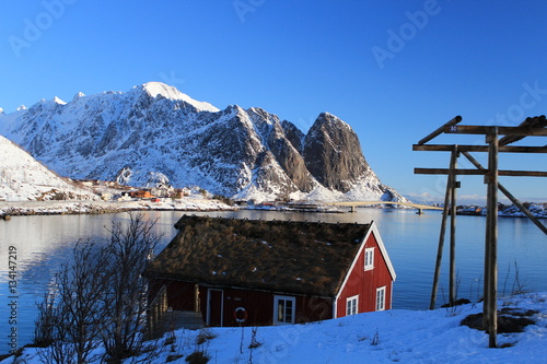 Rorbuer Lofoten photo