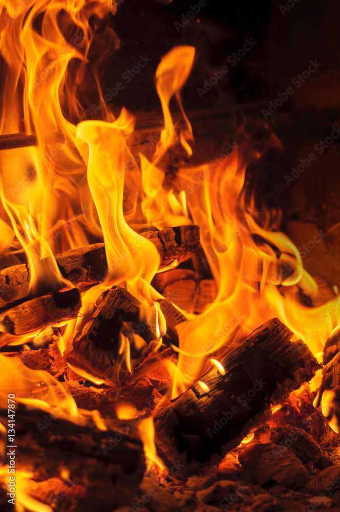 fire flames. Vertical closeup image