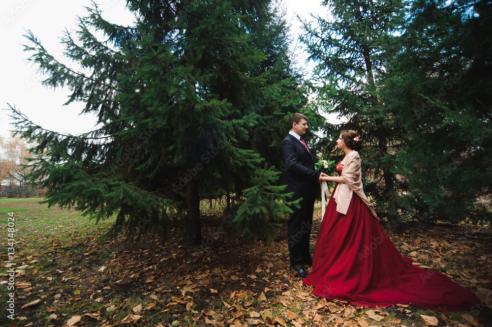 Fototapeta premium the couple in the autumn forest