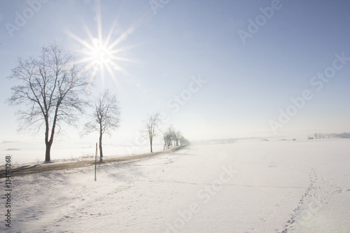 Winter landscape and sunny weather