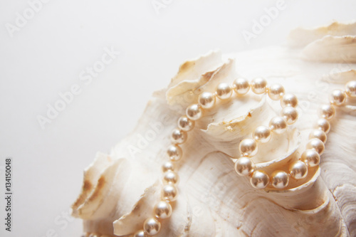 bright background with marine pearl shell, healthy teeth concept