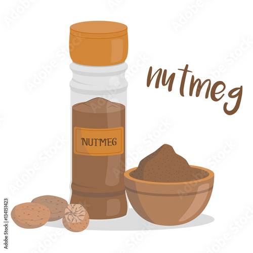 Vector nutmeg illustration isolated in cartoon style. Herbs and Species Series