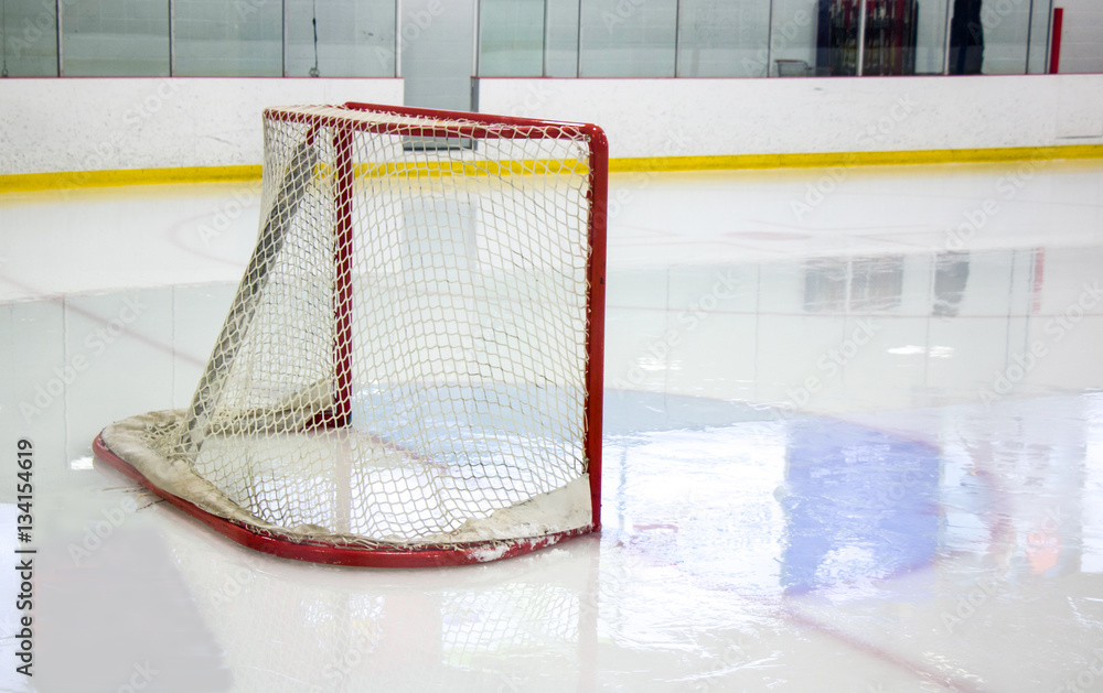 Fototapeta premium Ice Hockey Net