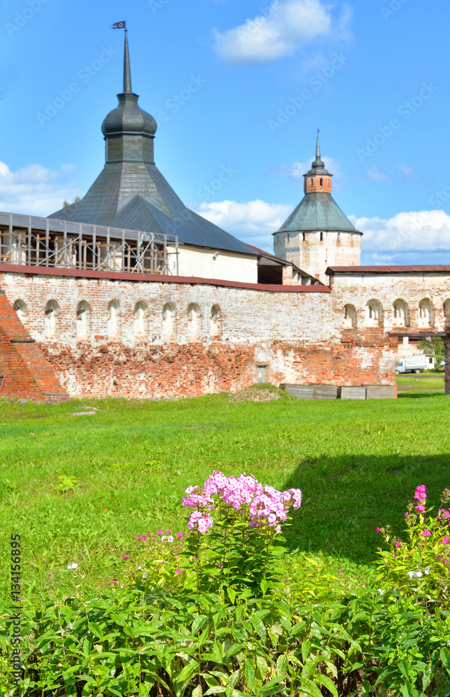 Fototapeta premium Flowerbed with pink flowers.