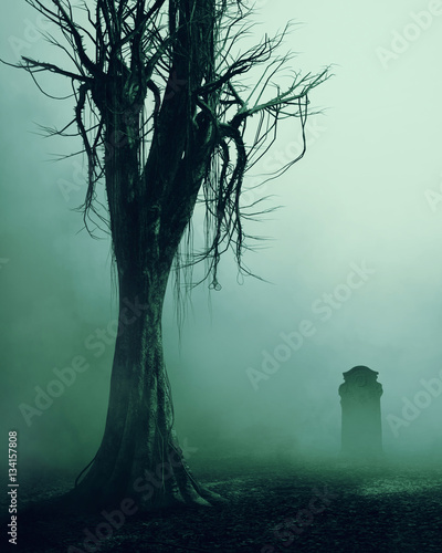The scary tree and graveyard abstract background.