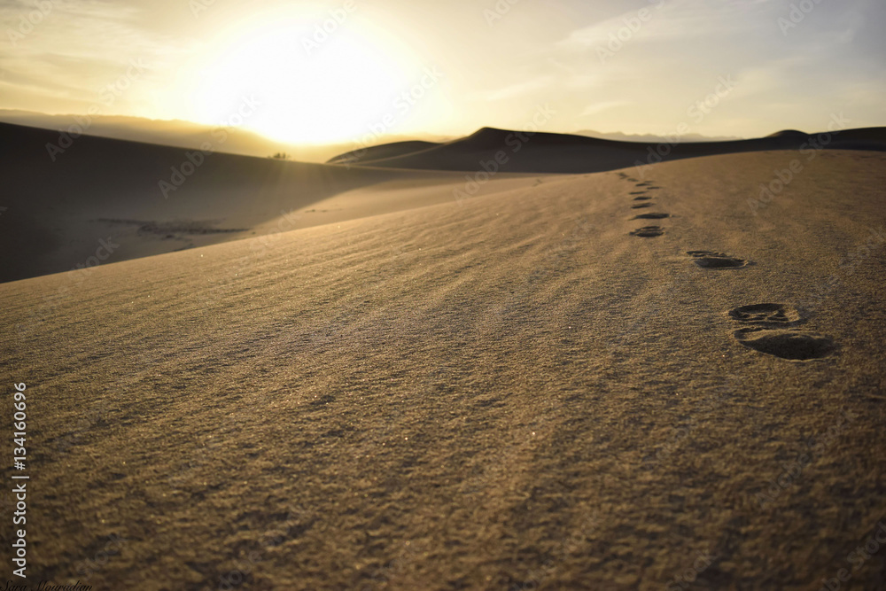 Fototapeta premium Prints