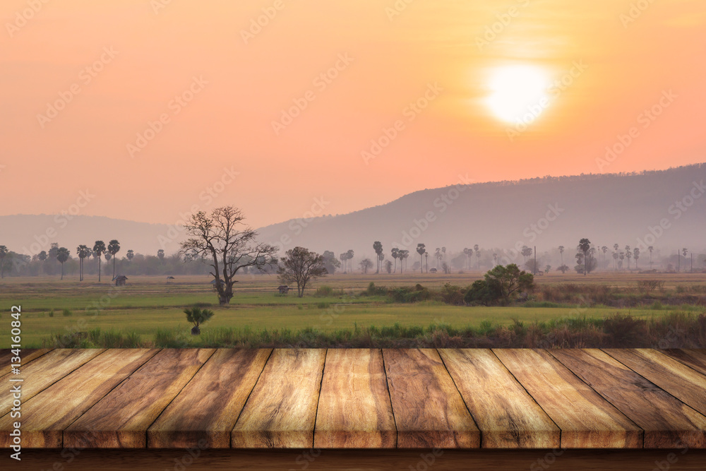 wooden desk space and rice field background.