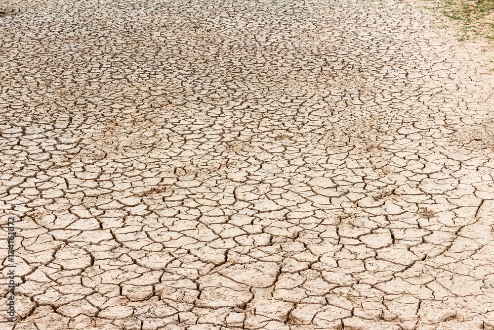 The cracks texture ground surface The cracks texture ground surface