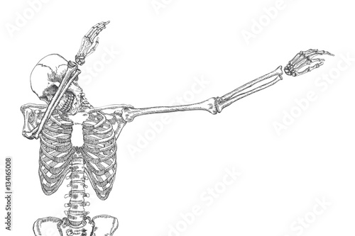 Human skeleton making DAB, perform dabbing dance move gesture, posing on white background. Vector.