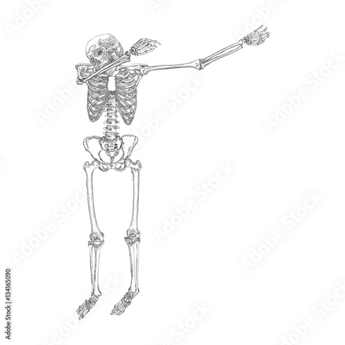 Human skeleton posing DAB, perform dabbing dance move gesture, posing on black background. Vector.