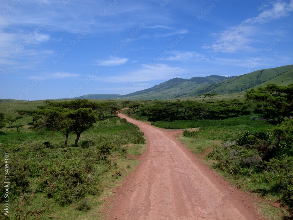 The beautiful open roads leading from Ngorongoro Crater out into the Serengeti. 