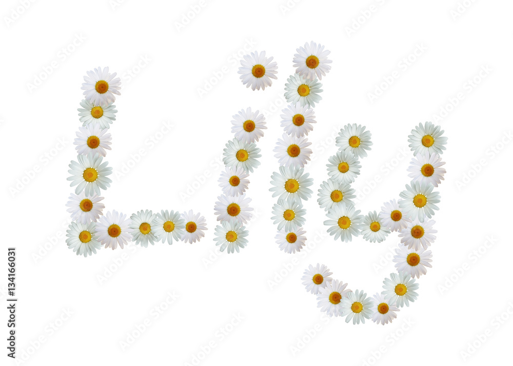 Daisy Name Lily Daisy Name Lily