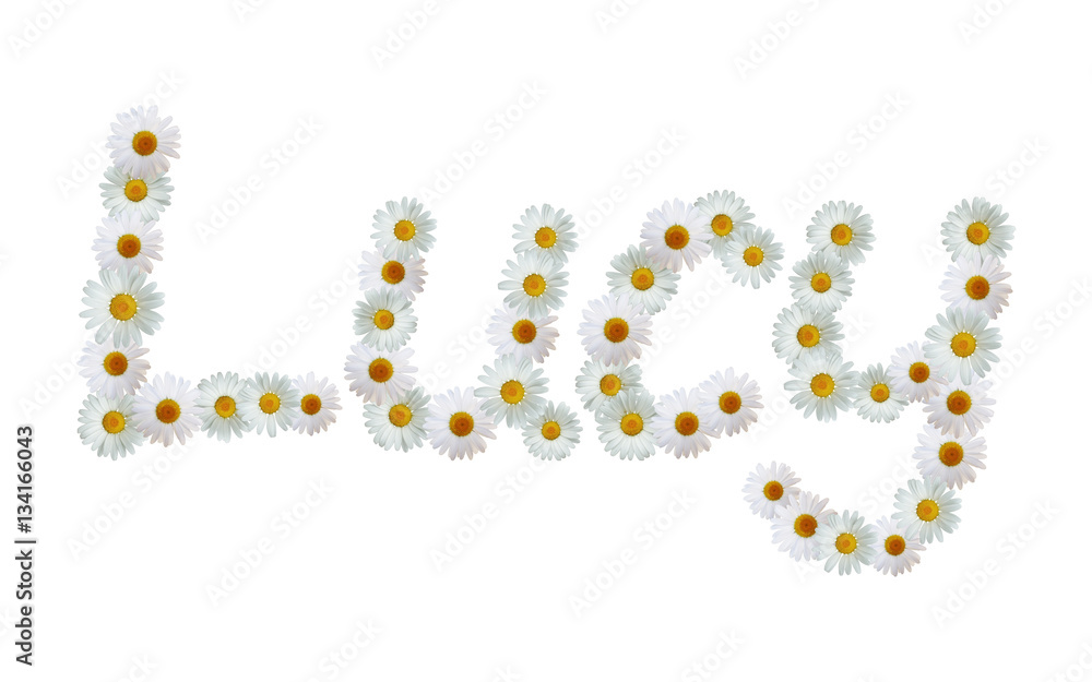 Daisy Name Lucy Daisy Name Lucy