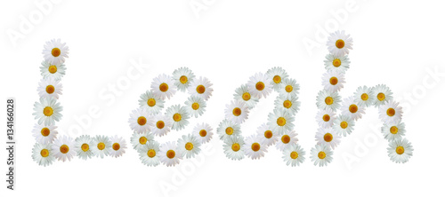 Fototapeta Naklejka Na Ścianę i Meble -  Daisy Name Leah
