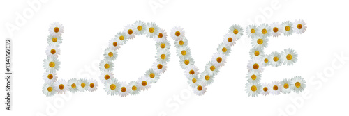 Daisy Word Love