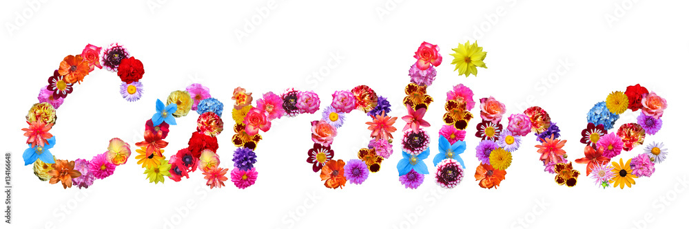 Flower Name Caroline Flower Name Caroline