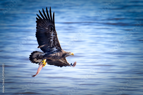Bringing Lunch Home