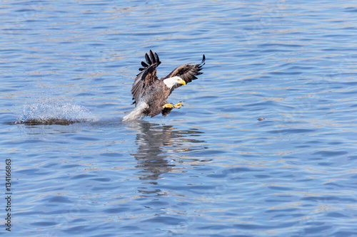 Tail Drag