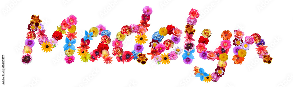 Madelyn Flower Name Madelyn Flower Name