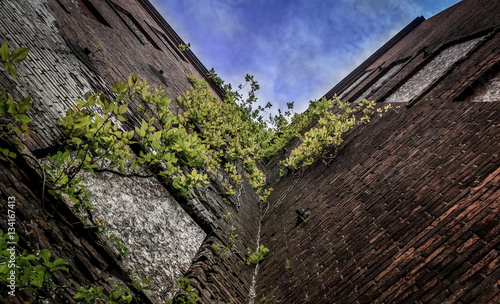 Urban Abandoned Building with Sky Perspective