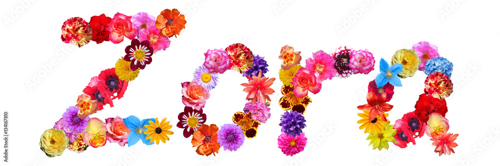 Zora Flower Name Zora Flower Name