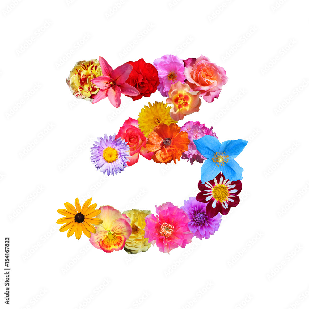 Flower Number Three Flower Number Three