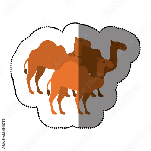 camels animals cartoon icon vector illustration graphic design