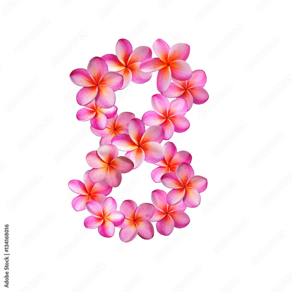 Plumeria Number Eight Plumeria Number Eight