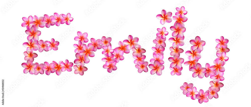 Emily Plumeria Name Emily Plumeria Name