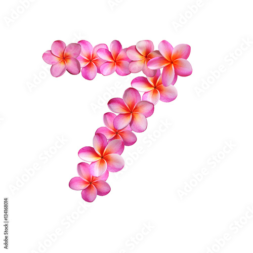 Tablou pe pânză Plumeria Number Seven