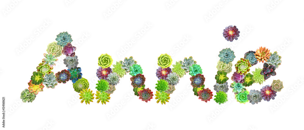 Annie Succulent Name