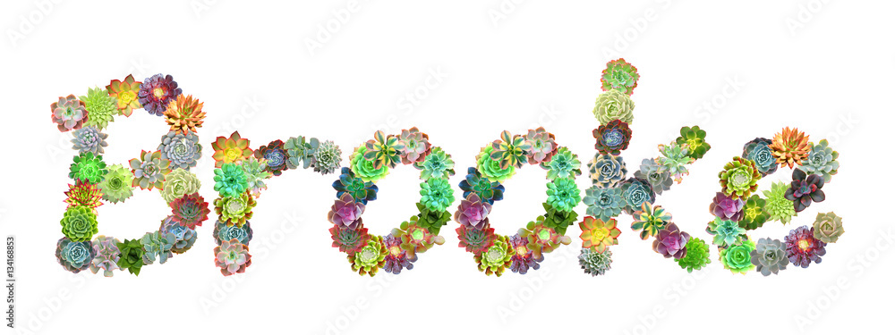 Brooke Succulent Name Brooke Succulent Name