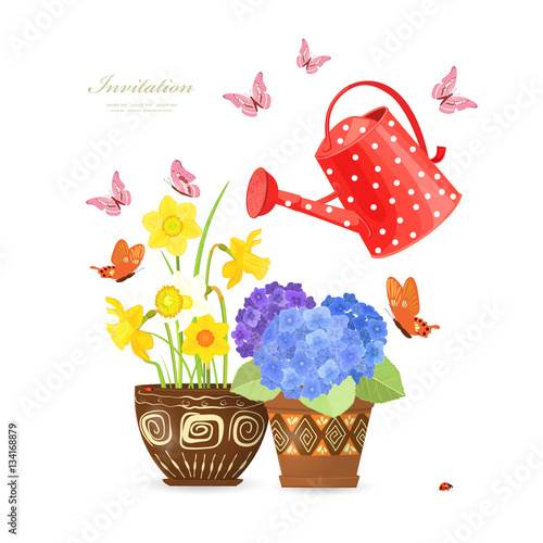 lovely flowers planted in ethnic flowerpots with a red can water