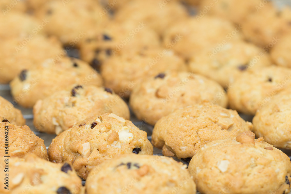 oat cookies with nuts and raisins oat cookies with nuts and raisins