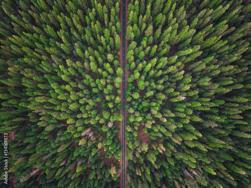 Lone Highway | Arial Drone Top Down