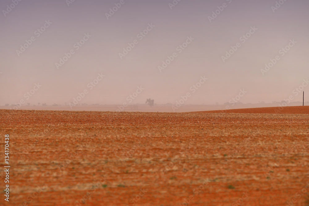 Fototapeta premium Dust storm in outback Australia on rural farm with crops in paddock in Mallee
