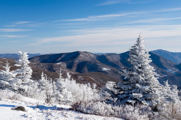 A winter wonderland in the Roan Highlands along the Appalachian Trail on the Border of Tennessee and North Carolina.