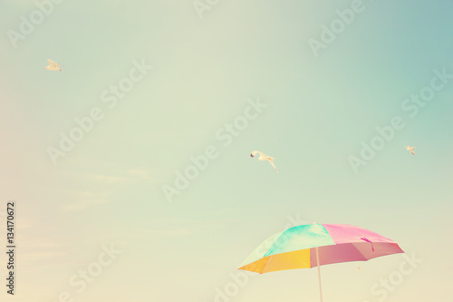 Beach Umbrella with seagulls. Instagram effect