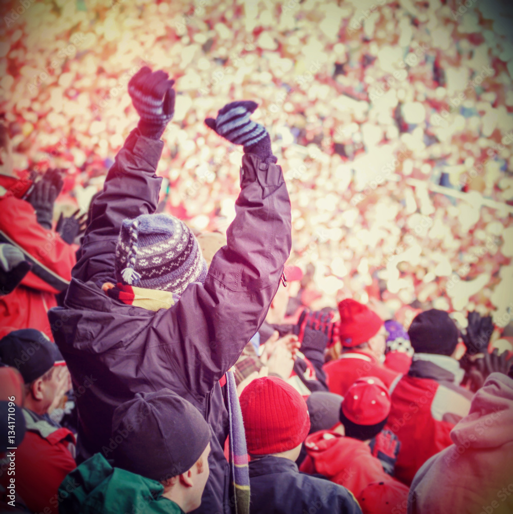 Obraz premium Fan celebrating in the stands at an american football game. Inst