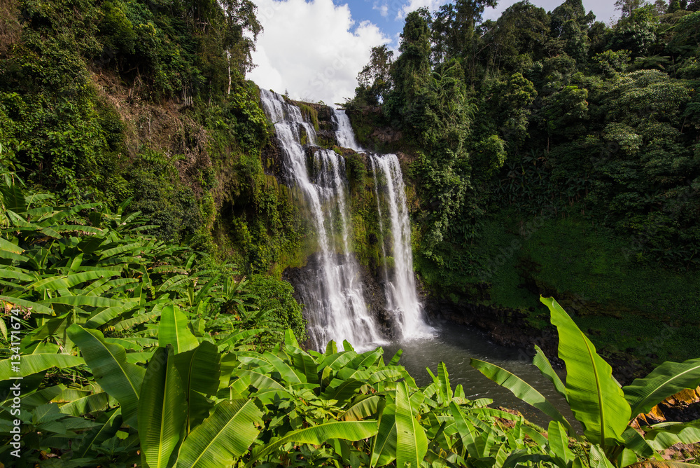 Fototapeta premium waterfall in deep forest at Pakse Laos